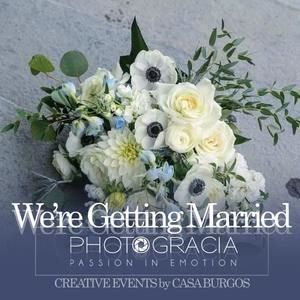 Meet your Posher, Rose